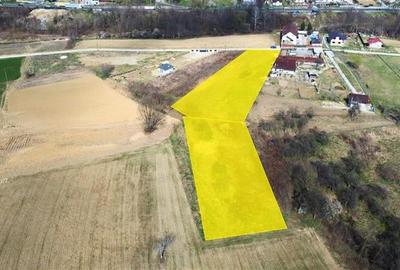Teren Construcții intravilan de 5460 mp, în Budești - 6