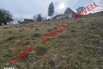 Teren de 5800 mp, în Barcani - 4