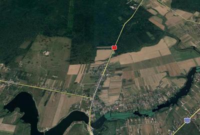 Teren de 100000 mp, în Tâncăbești - 3