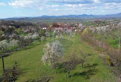 Teren Construcții intravilan de 1646 mp, în Cărbunari - 12