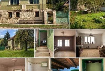 Casă cu 3 camere cu Teren 2350 Mp în Viștea - 1
