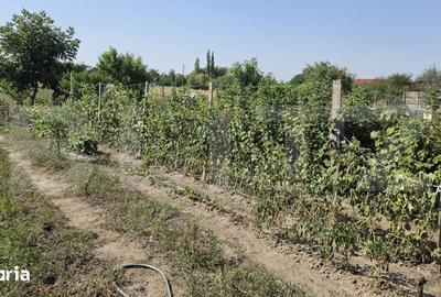 Casă cu 4 camere cu Teren 2658 Mp în Central