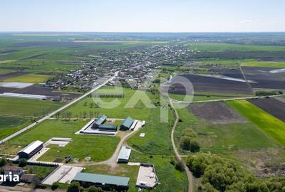 Teren de 105000 mp, în Singureni - 16