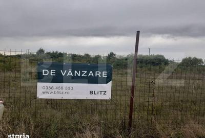 Teren de 6150 mp, în Ciarda Roșie - 2