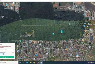 Teren de 7500 mp, în Băneasa