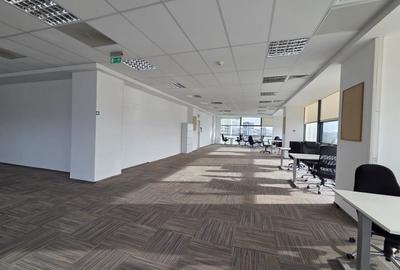 Birou, de 511 mp, în Păcurari - 15