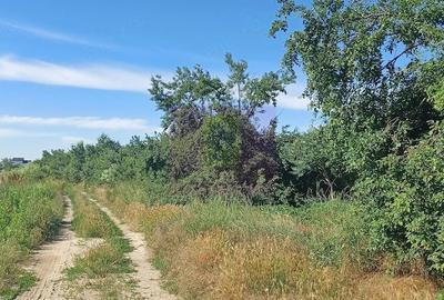 Teren de 3500 mp, în Săbăreni
