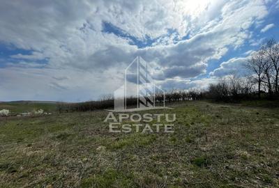 Teren Construcții intravilan de 2896 mp, în Herneacova - 6