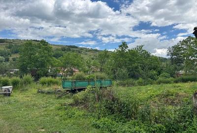 Casă cu Teren 800 Mp în Buza Cătun - 4