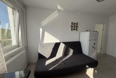 Apartament cu 2 camere nedecomandat, mobilat în Șagului - 5