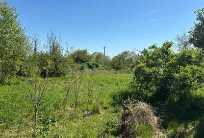Teren de 2000 mp, în Văcăreasca - 3