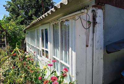 Casă cu 3 camere cu Teren 3116 Mp în Valea lui Darie