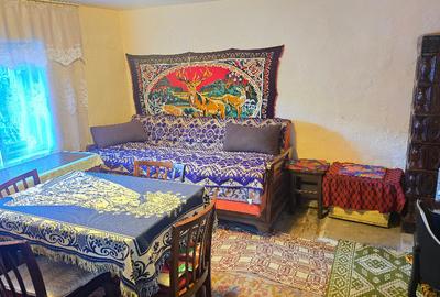 Casă cu 3 camere cu Teren 766 Mp în Viile Noi