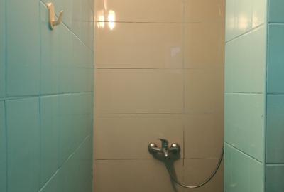 Apartament cu 2 camere semidecomandat în Brotăcei - 5