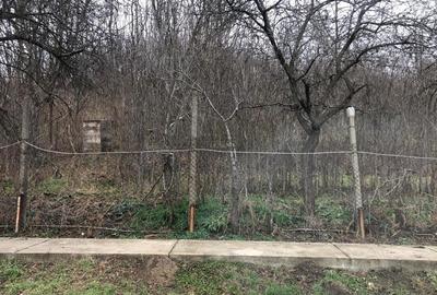 Teren de 3478 mp, în Viișoara - 2