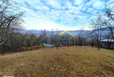 Teren de 5037 mp, în Gura Beliei - 5