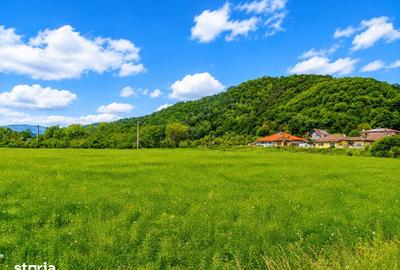 Teren de 2800 mp, în Turnu Roșu - 4