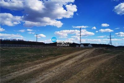 Teren Construcții intravilan de 8600 mp, în Bucium - 3