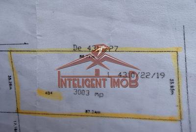 Teren de 3003 mp, în Sâmbăta de Sus