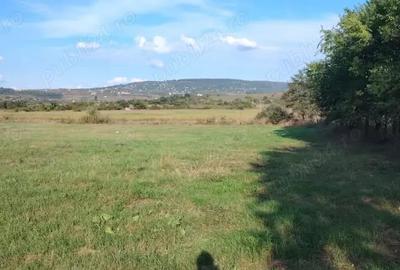 Teren de 3500 mp, în Ciurea - 4