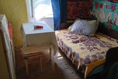 Casă cu 2 camere cu Teren 3000 Mp în Șoșdea - 4
