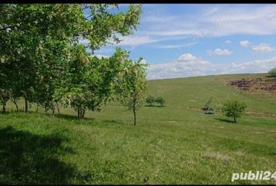 Teren de 8743 mp, în Central