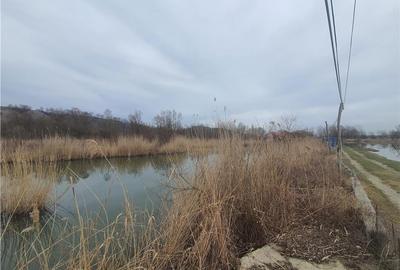 Teren agricol extravilan de 5820 mp, în Colun - 6