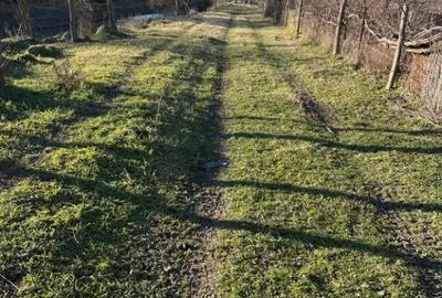Teren de 1032 mp, în Băltenii de Jos - 5