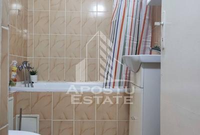 Apartament cu 2 camere, mobilat în Brâncoveanu