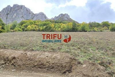 Teren intravilan de 15000 mp, în Râmeț