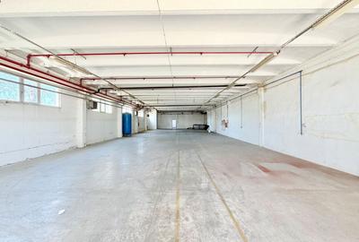 Spațiu industrial, de 600 mp, în Sânnicolau Mic