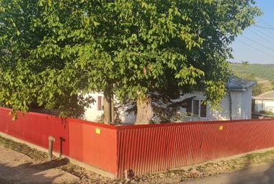 Casă cu 3 camere în Cotu - 1