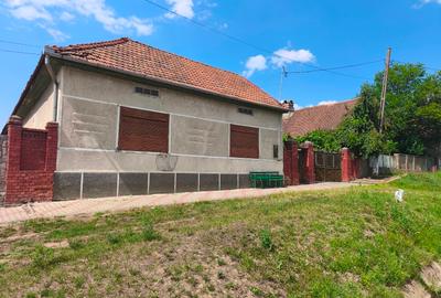 Casă individuală cu 4 camere cu Teren 1715 Mp în Topolovățu Mare - 2