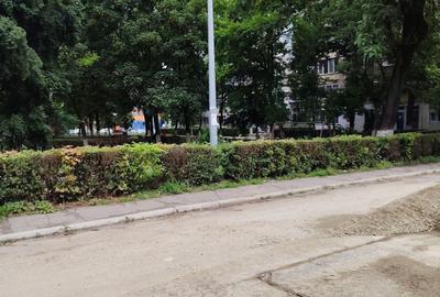 Spațiu comercial, în Central - 2