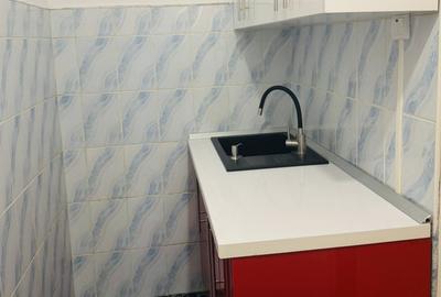 Garsonieră decomandată, mobilată în Bogdăneștilor - 4