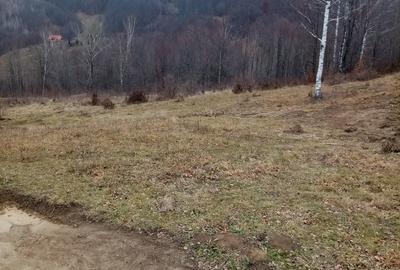 Teren de 10000 mp, în Lepșa - 3
