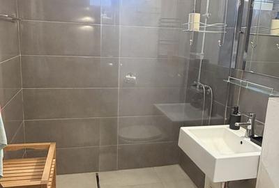 Apartament cu 2 camere semidecomandat în Costin Georgian - 2