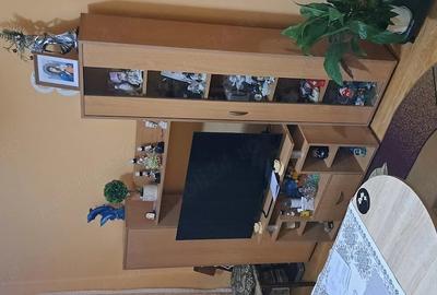 Apartament cu 2 camere semidecomandat în Viziru 3