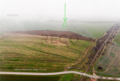 Teren intravilan de 5800 mp, în Livada de Bihor - 9