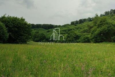 Teren agricol extravilan de 20 mp, în Daneș - 12