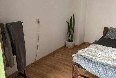 Casă cu 2 camere cu Teren 60 Mp în Badea Cârțan