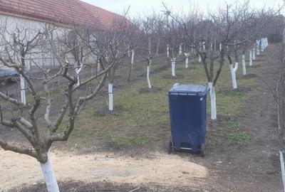 Teren de 966 mp, în Păuca - 4