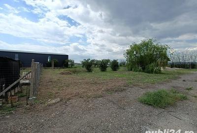 Teren de 722 mp, în Mărăcineni - 3