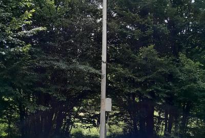 Teren de 13500 mp, în Dumbrava