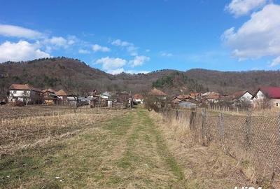 Teren de 9000 mp, în Copăcelu - 5