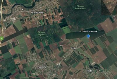 Teren agricol extravilan de 12700 mp, în Moara Vlăsiei - 1
