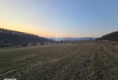 Teren de 28800 mp, în Sighișoara