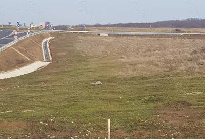 Teren de 3500 mp, în Băile Felix - 5