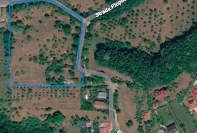 Teren de 11000 mp, în Drajna
