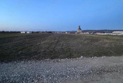 Teren de 19755 mp, în Șimian - 5